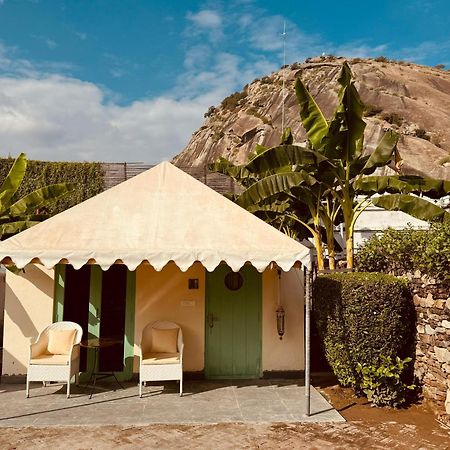 The Rawla Narlai - A Luxury Heritage Stay In Leopard Country Eksteriør bilde